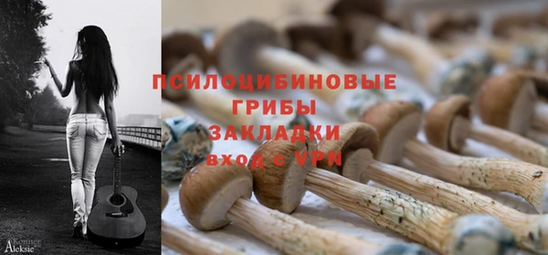 мяу мяу мука Арсеньев