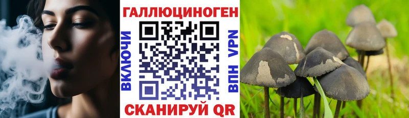Псилоцибиновые грибы Psilocybine cubensis  mega tor  Томмот  цены наркотик 